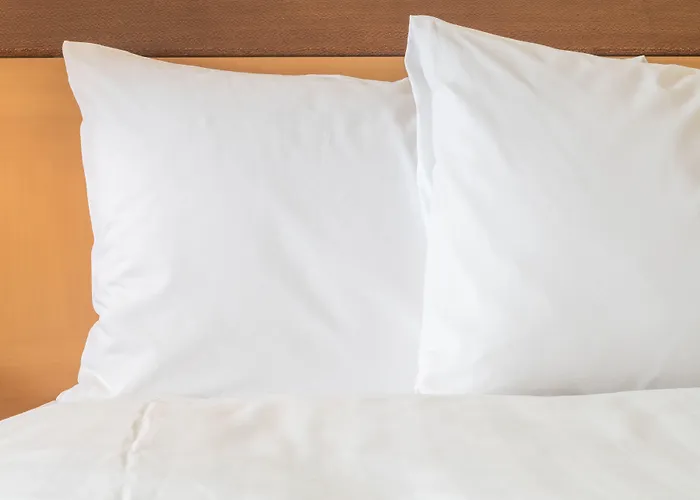 Hotel Chicago By Ihg