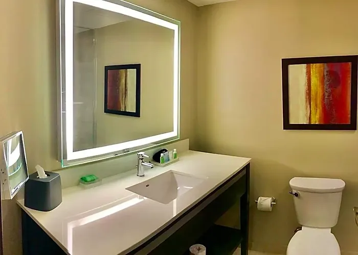 Chicago By Ihg Hotel Schaumburg